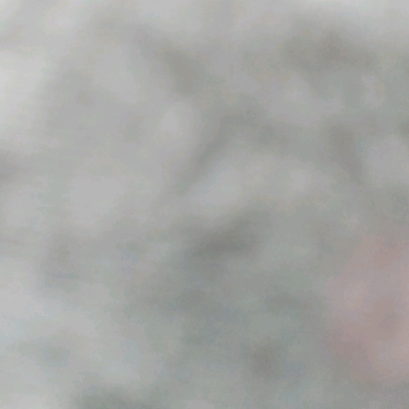 Meet your Posher, Evan - Picture 1 of 1